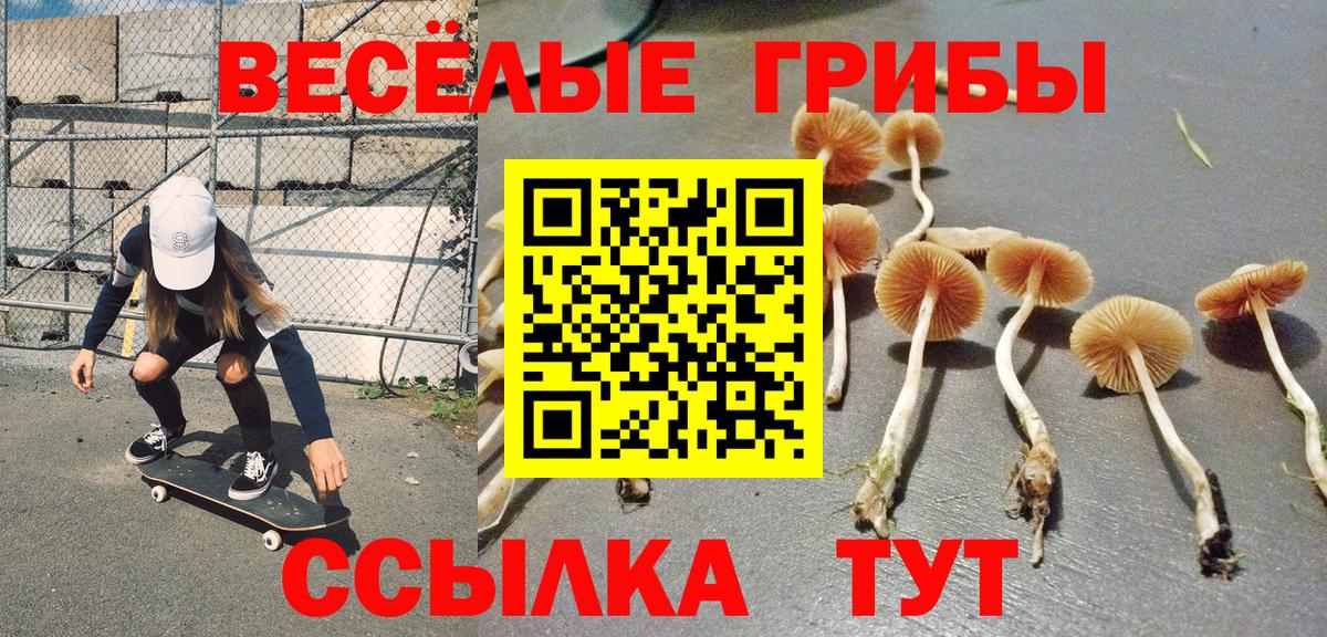 Галлюциногенные грибы Magic Shrooms  закладка  Сокол  Вход с VPN 