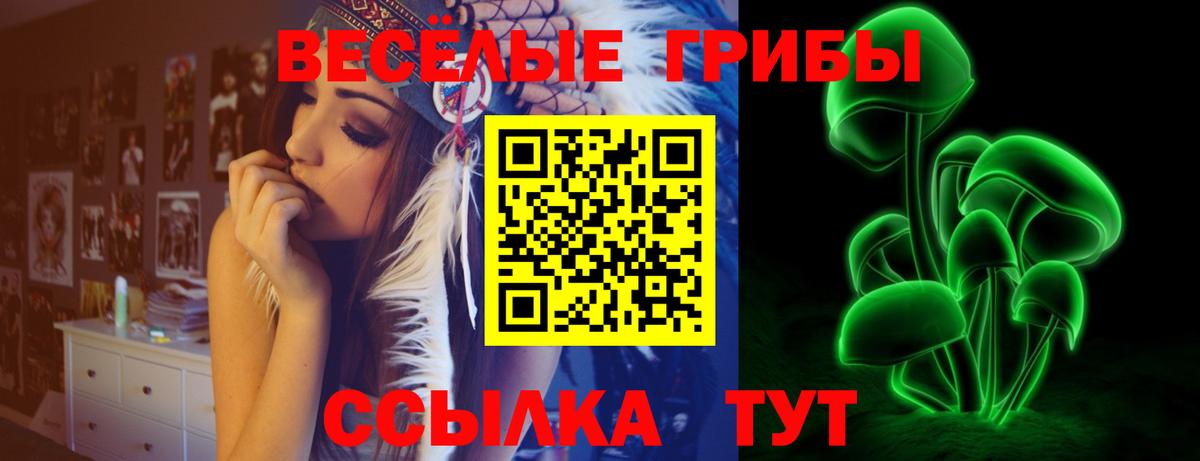 Псилоцибиновые грибы MAGIC MUSHROOMS Сокол